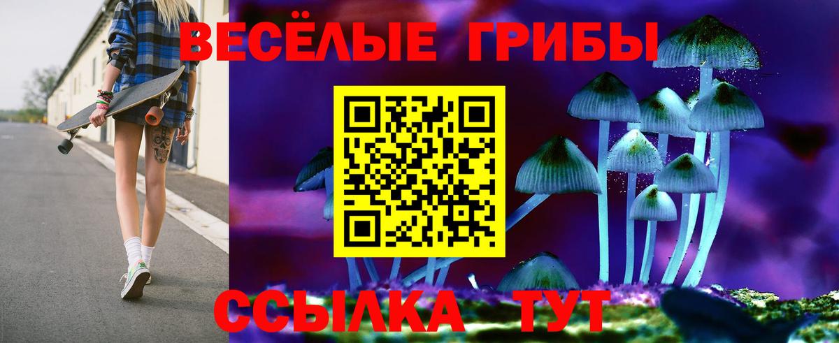 Псилоцибиновые грибы MAGIC MUSHROOMS  Вход с VPN  Тамбов 