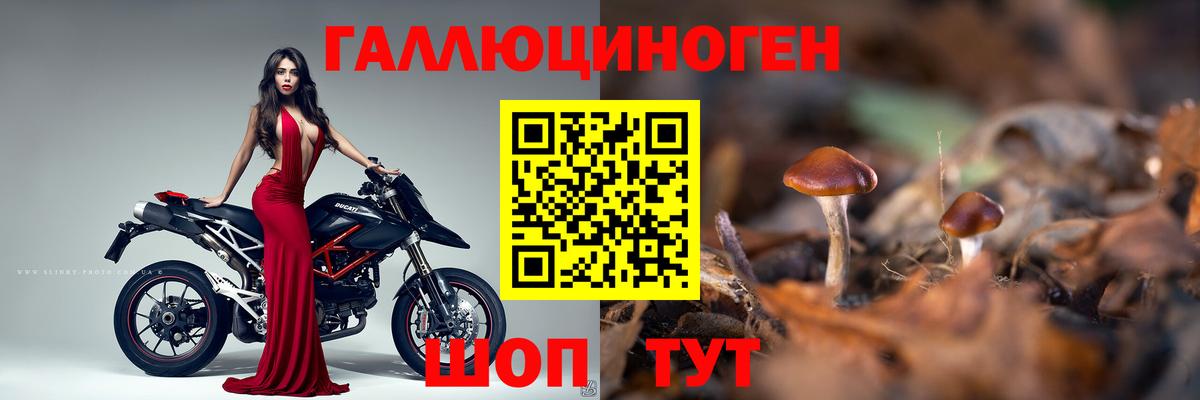 Псилоцибиновые грибы мицелий Тамбов
